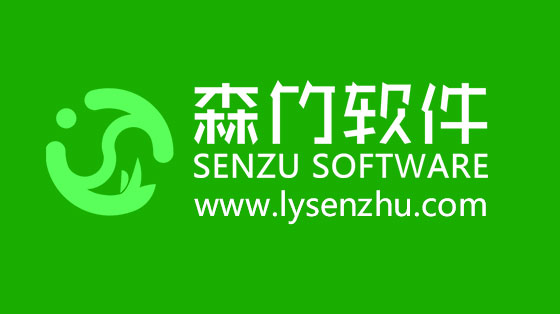 選擇森竹軟件服務(wù)，開發(fā)少走很多彎路！